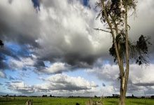 德罗巴连续三场比赛得分超过赛事规则更新，西班牙队挑战极限！的简单介绍